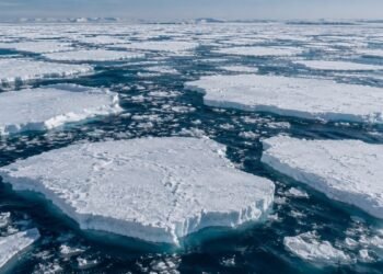 Giant ice sheets began to break apart one by one: Pieces are drifting into the open sea