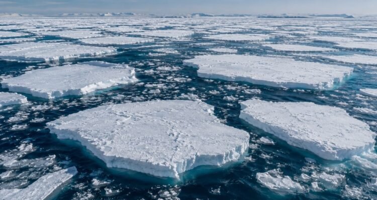 Giant ice sheets began to break apart one by one: Pieces are drifting into the open sea