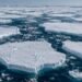 Giant ice sheets began to break apart one by one: Pieces are drifting into the open sea