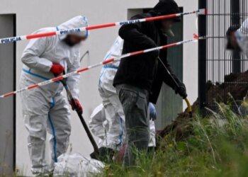 In Poland, the remains of 32 unborn children were found in a doctor’s yard