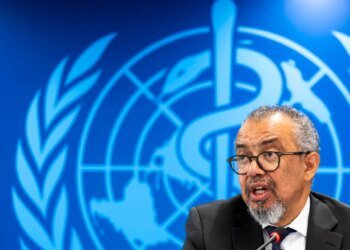 Number of suspected Ebola cases falls sharply, says WHO