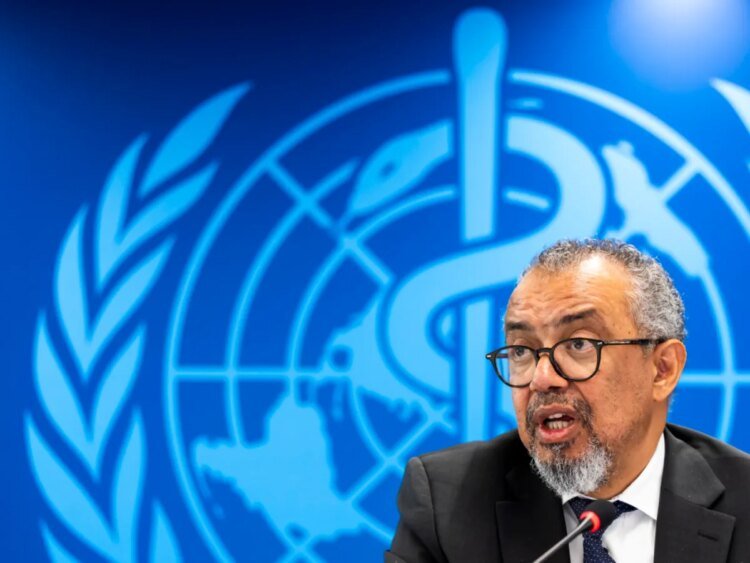 Number of suspected Ebola cases falls sharply, says WHO