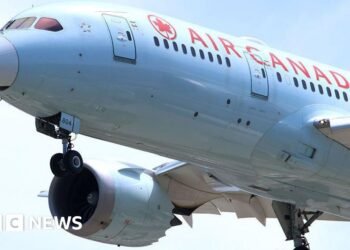 Air Canada pilot accused of flying for 17 years without correct licencePolice said the pilot was discovered to have flown with forged credentials since he was promoted to captain in 2009. He faces several fraud-related charges.8 hrs agoUS & Canada