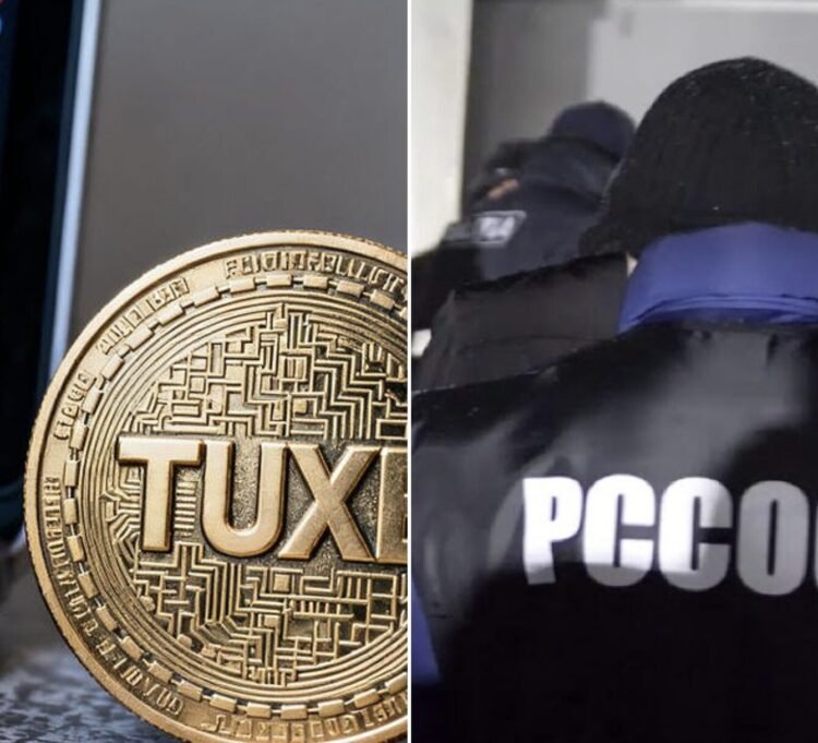 TUX case: Materials against the alleged leader were sent to the court. He faces up to six years in prison