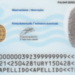 Step by step: how to check with your ID if you have money in favor of the 2026 personal income tax return