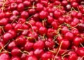 Cherry producers threatened on Monday in the Ministry that they will not pick the fruit for 50 dinars – Economy