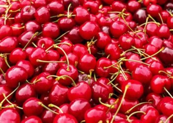 Cherry producers threatened on Monday in the Ministry that they will not pick the fruit for 50 dinars – Economy