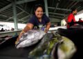 Pacific Tuna Initiative expands to include Palau, Advancing Sustainable, Equitable Ocean Governance