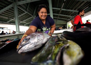 Pacific Tuna Initiative expands to include Palau, Advancing Sustainable, Equitable Ocean Governance
