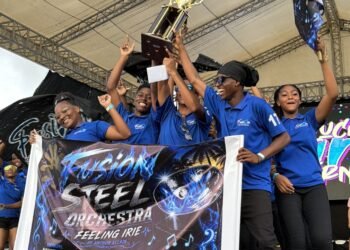 Leon Hess Comprehensive wins inaugural schools panorama competition