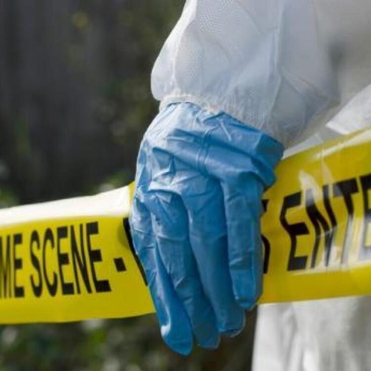 Three shot, two fatally, including 17-y-o, in Naggo Head in Portmore | News
