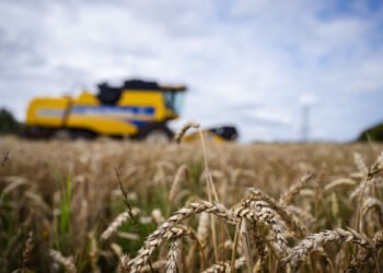 Reduced emissions from several industries in Sweden in 2025