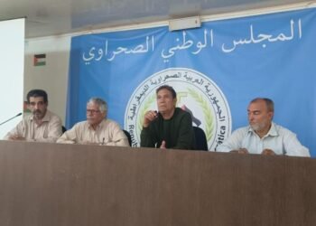 The President of the National Council stresses the strengthening of cooperation between the legislative and executive authorities to face the challenges of this stage