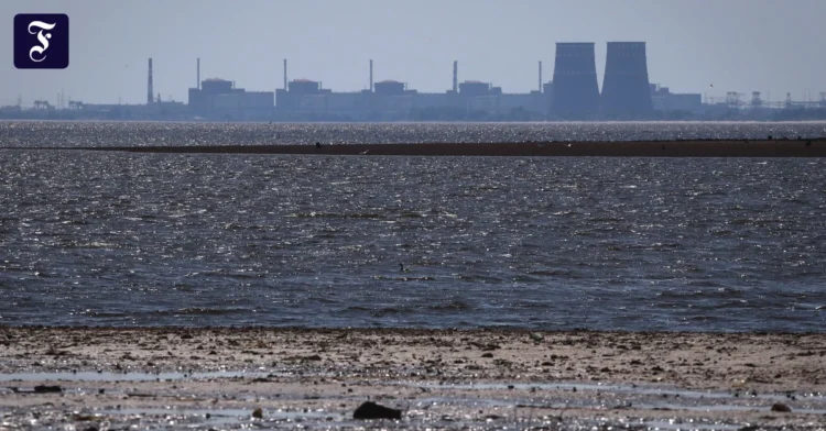 Liveblog Ukraine War: Ukrainian Zaporizhzhia nuclear power plant back on the power grid