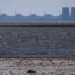 Liveblog Ukraine War: Ukrainian Zaporizhzhia nuclear power plant back on the power grid