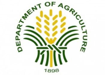 DA orders structural check of GenSan fish port after earthquake