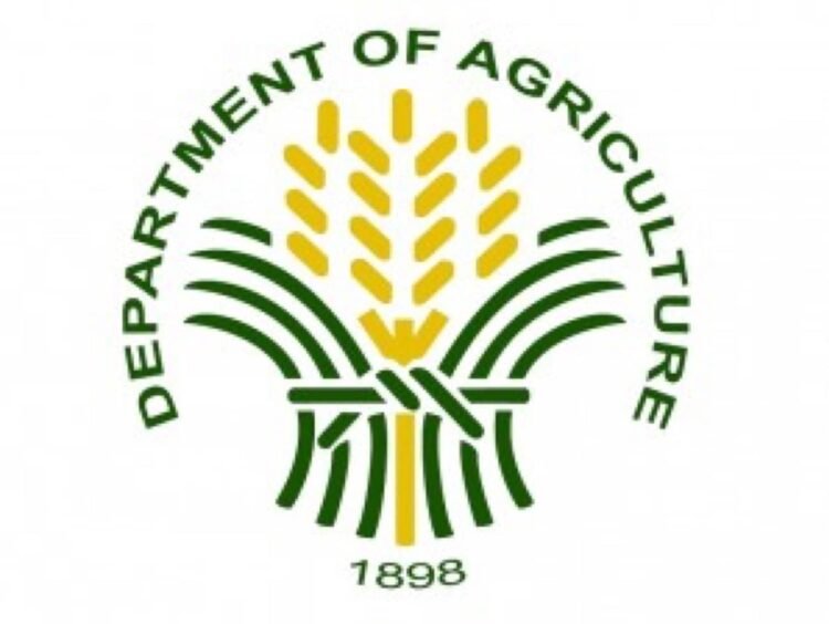DA orders structural check of GenSan fish port after earthquake