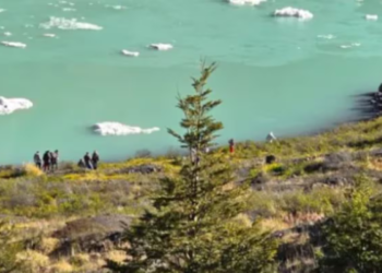 A group of Brazilian tourists were fined for entering a prohibited area of ​​the Nahuel Huapi National Park