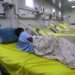 Gobierno ha pagado L10 millones por 154 cirugías privadas
