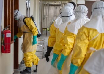 Ebola outbreak in the Democratic Republic of Congo has already caused 86 deaths and almost 500 cases: WHO warns of high risk in sub-Saharan Africa