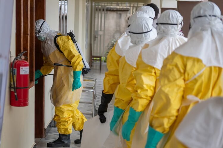 Ebola outbreak in the Democratic Republic of Congo has already caused 86 deaths and almost 500 cases: WHO warns of high risk in sub-Saharan Africa