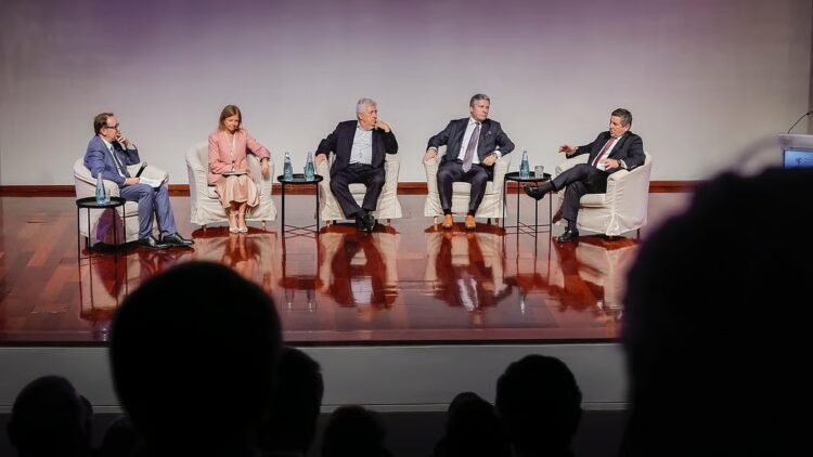 “There is a distrust of large companies, when they are the ones that pay the best salaries and have the greatest capacity to innovate”