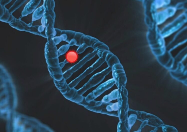 New Method for Detecting DNA Mutations Linked to Cancer and Alzheimer’s