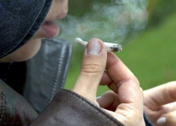 The fight against drugs does not stop at punishment… – Al-Shorouk Online