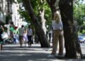 Heat in Moldova: yellow and orange weather danger codes come into effect on June 28