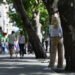 Heat in Moldova: yellow and orange weather danger codes come into effect on June 28