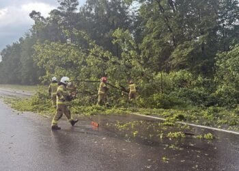 More than two thousand firefighters intervened after heavy rainfall