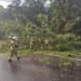 More than two thousand firefighters intervened after heavy rainfall