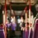 National Day celebrations 2026Public transport timetable and route changes announced