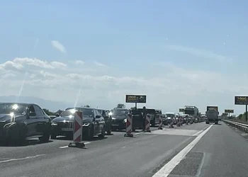 Plugs and nerves according to plan. Why are repairs on our highways always in…