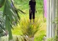 Geneva Botanical Garden: Woman thinks puppet is a corpse