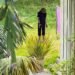 Geneva Botanical Garden: Woman thinks puppet is a corpse