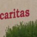 Caritas fraud scandal: Woman suspected of key role arrested in Rome