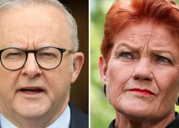 One Nation polling surge: Pauline Hanson says Coalition has lost touch with voters