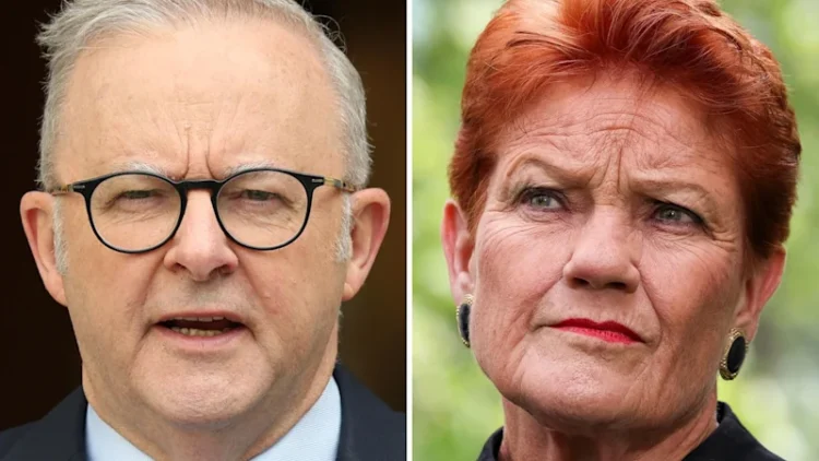 One Nation polling surge: Pauline Hanson says Coalition has lost touch with voters