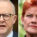 One Nation polling surge: Pauline Hanson says Coalition has lost touch with voters
