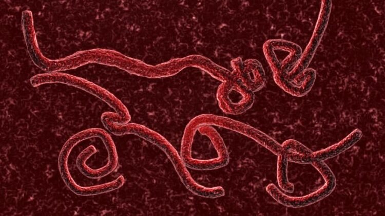Ebola Bundibugyo Virus Disease outbreak in Central and East Africa