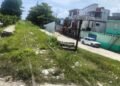 Photo of the day: Where the trains used to pass now only weeds grow