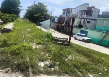 Photo of the day: Where the trains used to pass now only weeds grow
