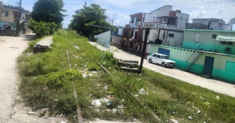 Photo of the day: Where the trains used to pass now only weeds grow
