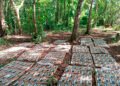 Nicaraguan Army announces seizure of 475 packages of cocaine near the border with Costa Rica
