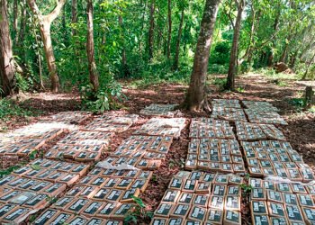 Nicaraguan Army announces seizure of 475 packages of cocaine near the border with Costa Rica