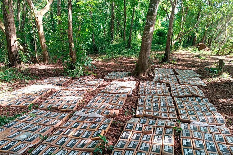 Nicaraguan Army announces seizure of 475 packages of cocaine near the border with Costa Rica