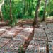 Nicaraguan Army announces seizure of 475 packages of cocaine near the border with Costa Rica