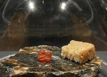 The size of a bread crumb but worth a fortune