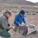 Surprise: the call from a ranch that led to the discovery of an ancient forest preserved for 50 million years